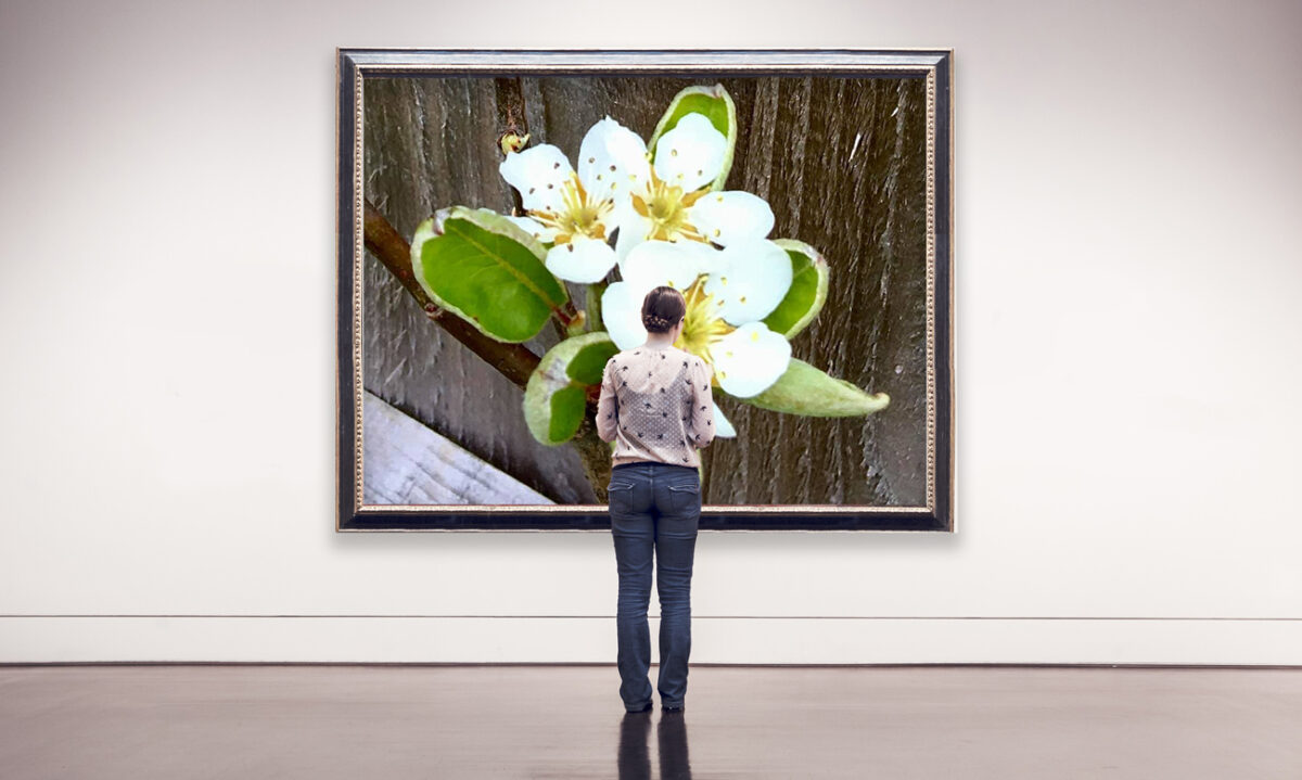 Patsy Hudson / Richard Coan- Spring Flower Digital